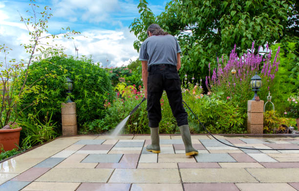 Reliable Arnold, CA Pressure Washing Services Solutions